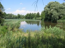 IMG_2751.JPG