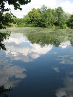 IMG_2753.JPG