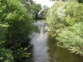 IMG_2755.JPG