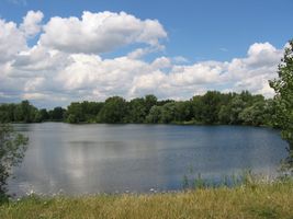 IMG_2903.JPG