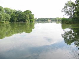 STF_2853.JPG