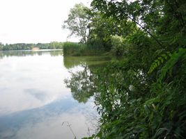 STH_2855.JPG