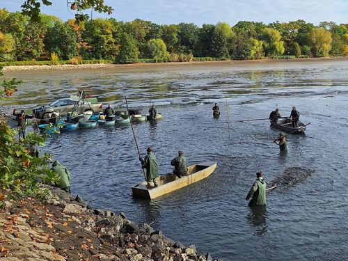 Pocernicky-velky-rybnik-vylov-16.10.25-2.jpg